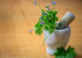 Ilustrasi tanaman herbal. Foto: (PhotoMIX Company)