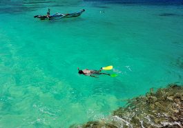 Teluk Hijau Banyuwangi. Foto: Flickr
