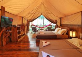 Ilustrasi penginapan untuk glamping (Foto: Indonesia Travel)
