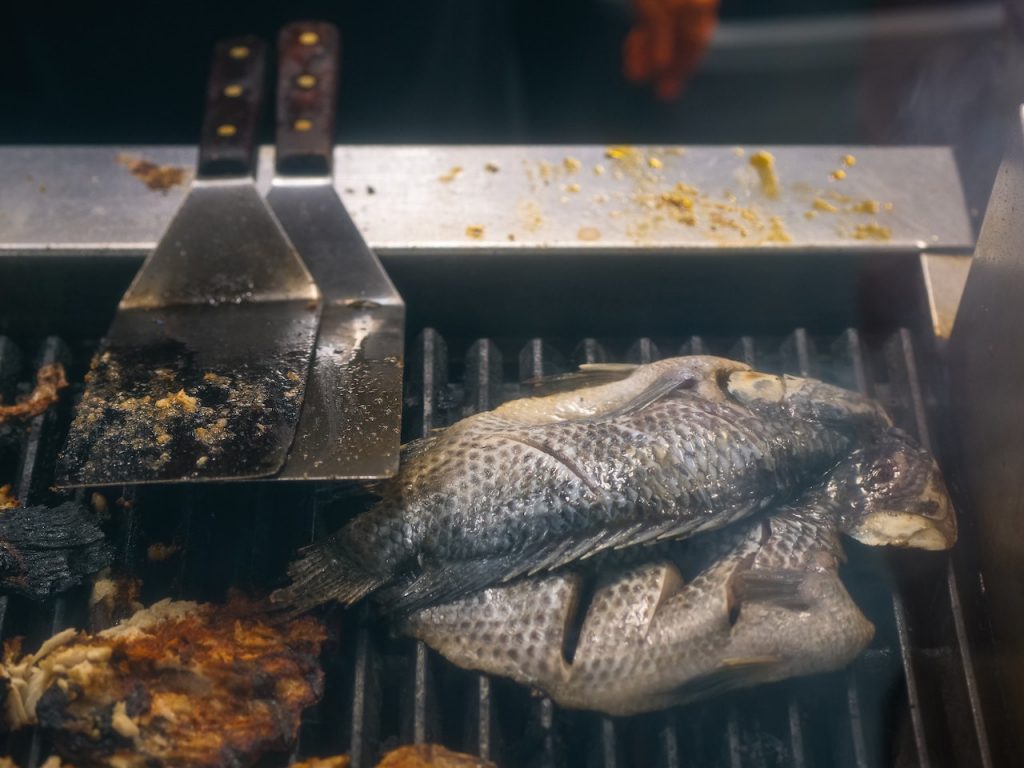 Ikan mujair (Foto: Pexels/Kindel Media)