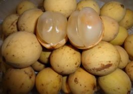 Buah duku (Foto: Pinterest)