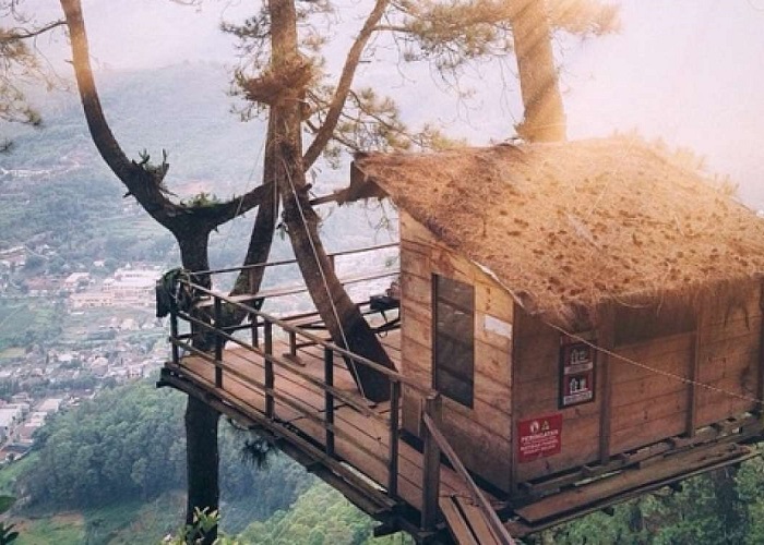 Omah Kayu Malang (Foto: Tokopedia)
