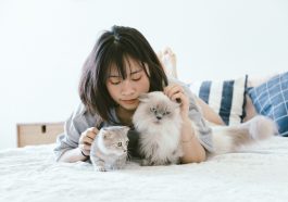 Interaksi antara manusia dengan kucing (Foto: Pexels/Tranmautritam)