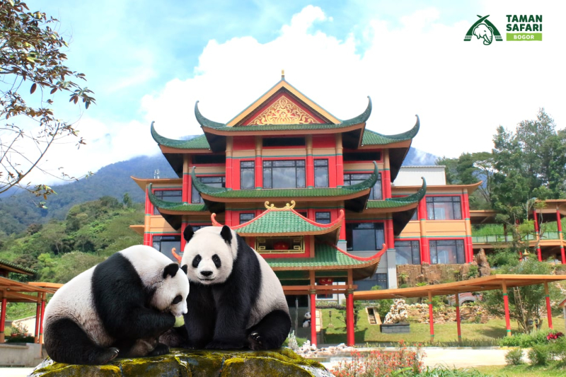 Taman Safari Bogor (Foto: Taman Safari Indonesia)