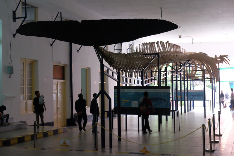 Museum Zoologi Bogor (Foto: Agenda Indonesia)