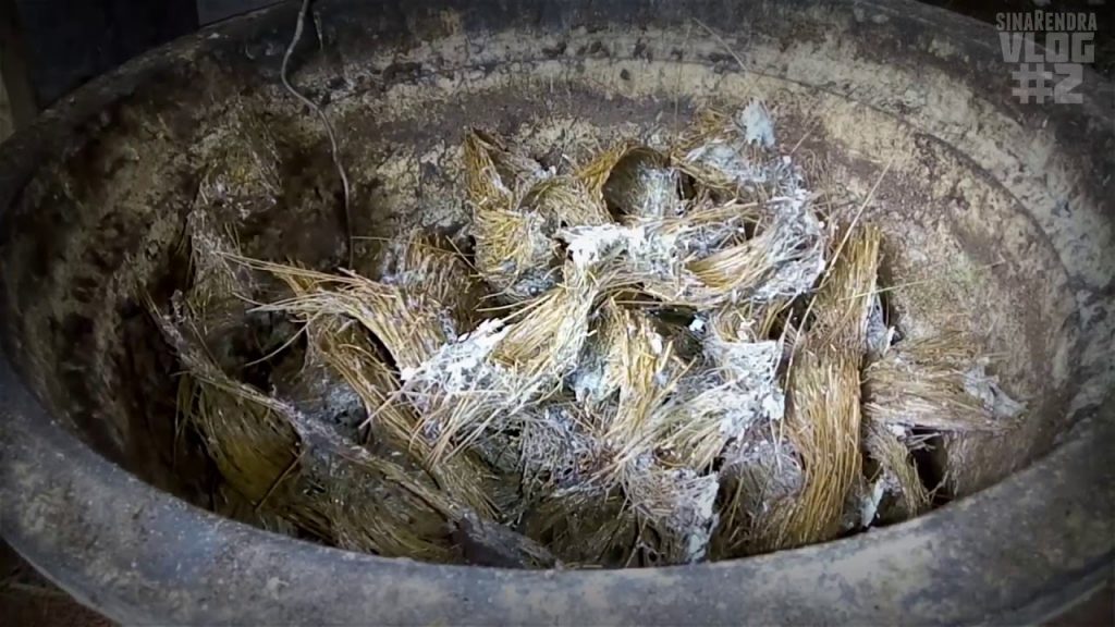 Sarang burung sriti