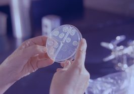 Bakteri pengendali cuaca, bisakah mengatasi kekeringan?