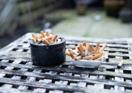 Sampah puntung rokok berbahaya bagi satwa liar dan lingkungan.