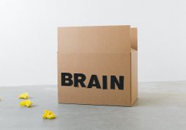 Ilustrasi otak (Foto: Pexels/SHVETS production)