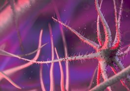 Bakteri kabel hidup dinilai mampu melindungi iklim bumi dan ekosistem laut.