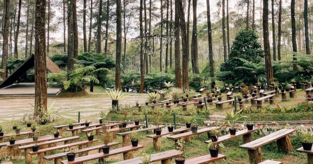 Orchid Forest Cikole (Foto: Klook)