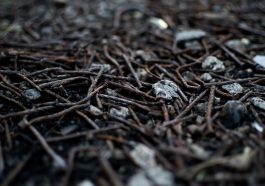 Menginjak paku berkarat bisa beresiko menyebabkan tetanus.