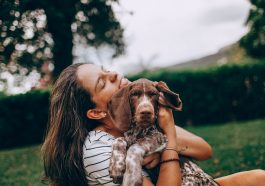 Anjing mampu mendeteksi stres pada manusia.