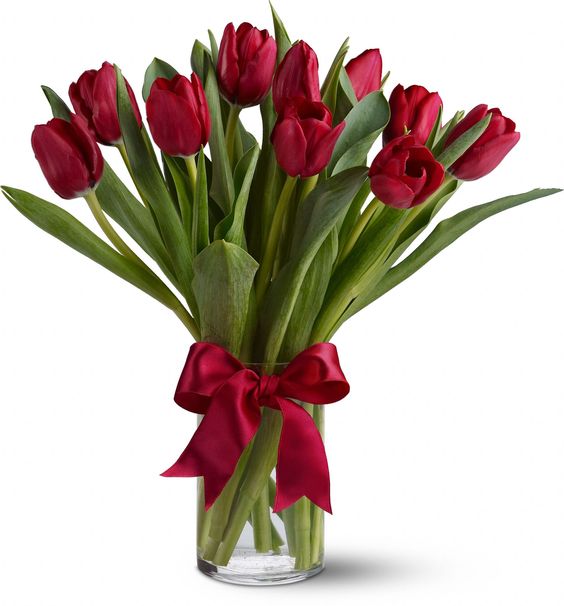 Ilustrasi tanaman tulip )Foto: Pinterest)
