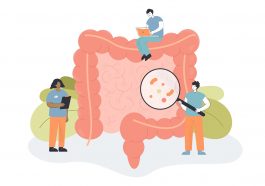 Meningkatkan pertumbuhan bakteri baik di usus.