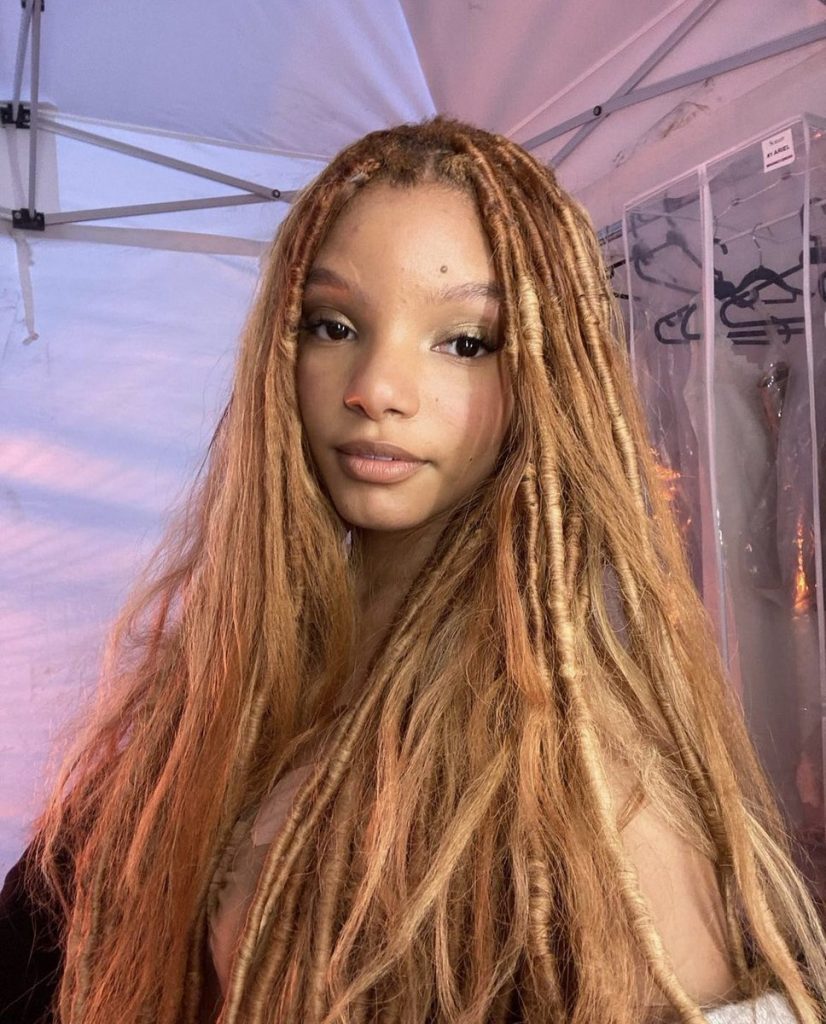 Rambut Halle Bailey dalam The Little Mermaid (Foto: Twitter)
