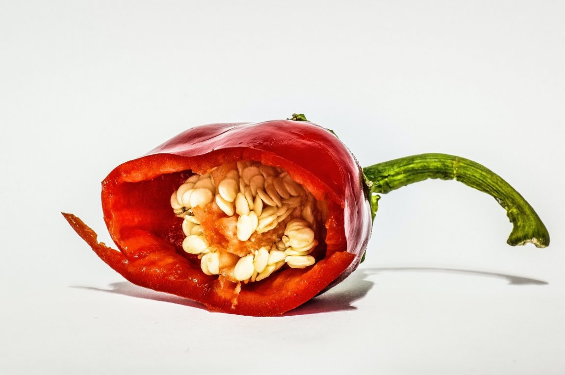 Toleransi rasa pedas (Unsplash)
