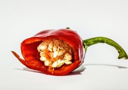 Toleransi rasa pedas (Unsplash)