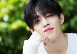 S.COUPS SEVENTEEN