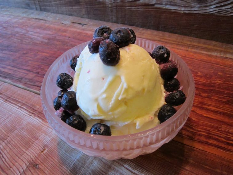 Cara Membuat Frozen Custard Sederhana di Rumah - Haluan Lifestyle