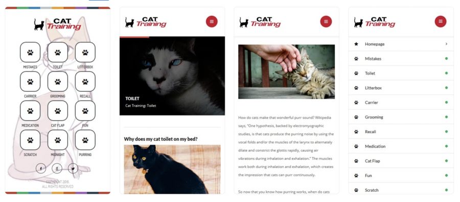 Aplikasi Cat Training