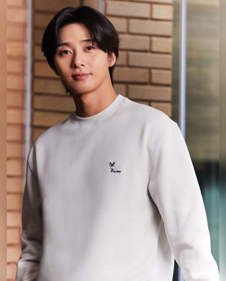 Park Seo Joon