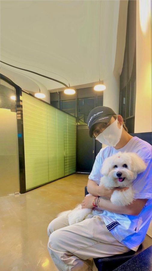 S.Coups SEVENTEEN dan KKuma