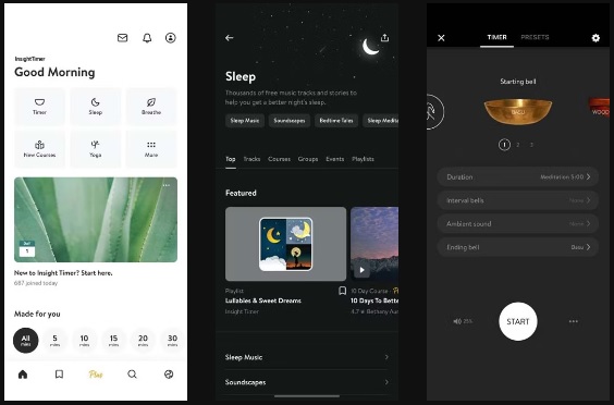 Insight Timer