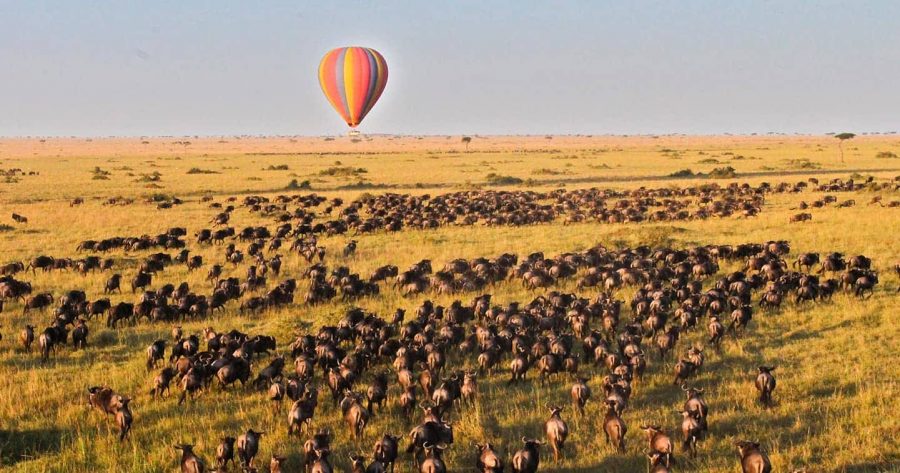 Masai Mara. Credit: Masai Mara National Park