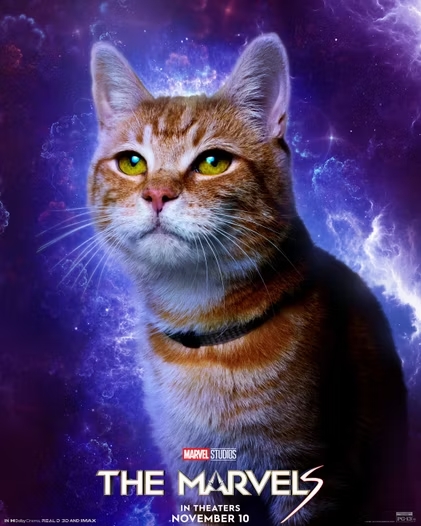 Goose. Credit: Marvel Studio