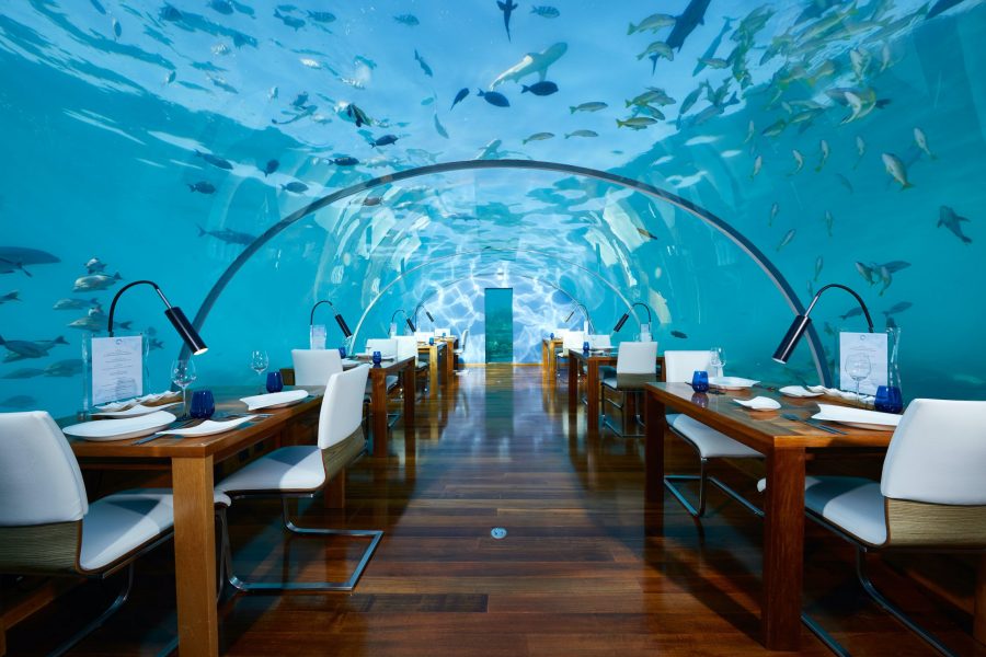Ithaa Undersea Restaurant. Foto: Luxury Restaurant Awards