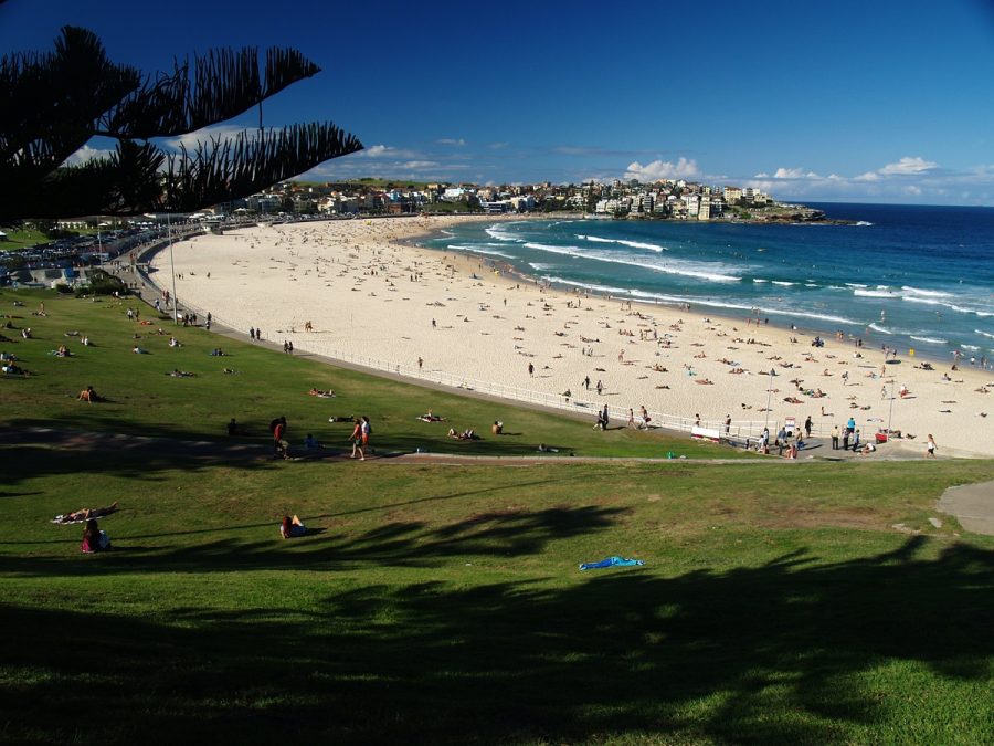 Bondi Beach. Foto: Wikimedia Commons