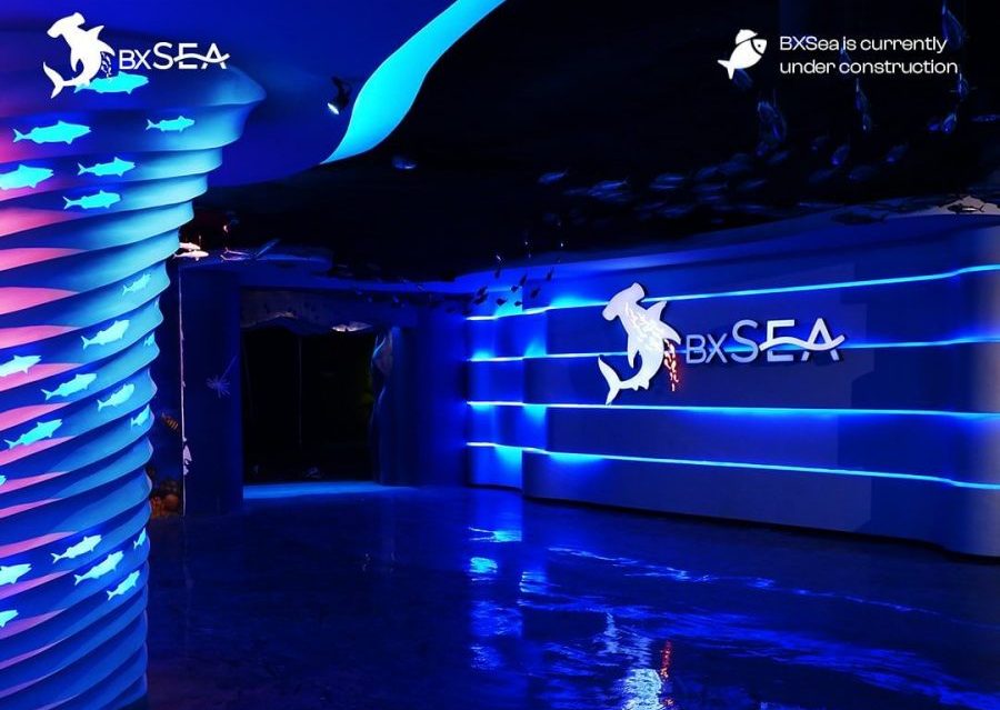 BXSea. Foto: Instagram/@bxsea_official