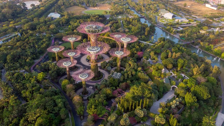 Garden by the Bay. Foto: Unsplash