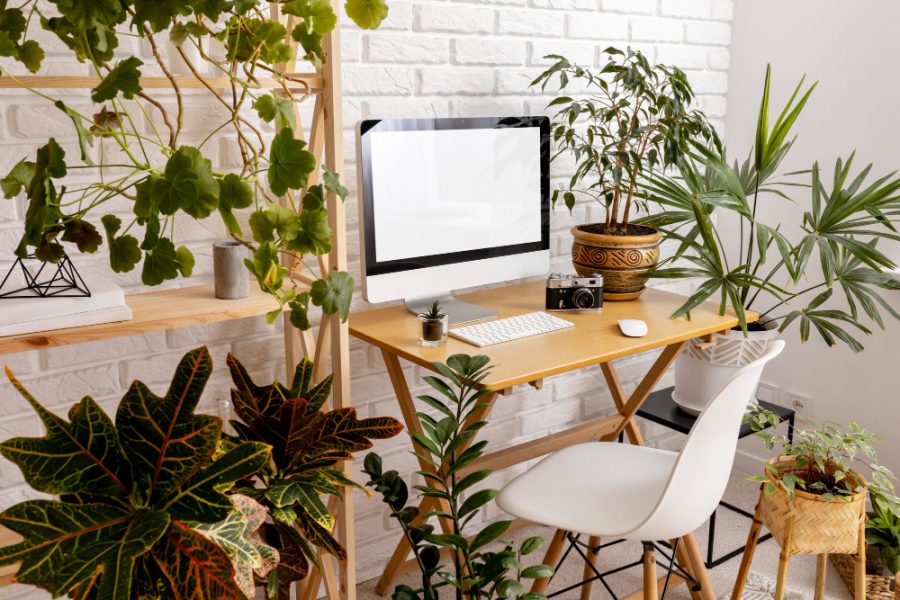 Ilustrasi taman di kantor. Foto: Freepik