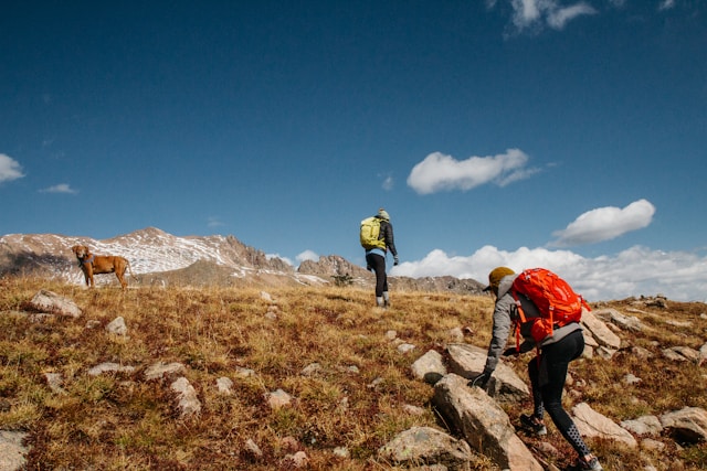 Ilustrasi Hiking. Foto: Unsplash