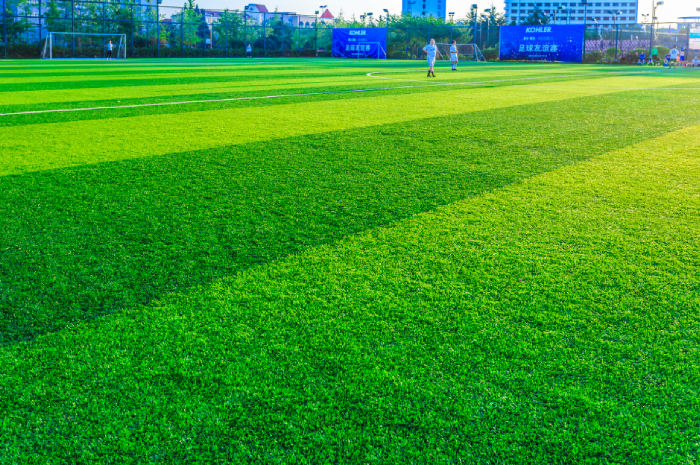 rumput lapangan sepak bola