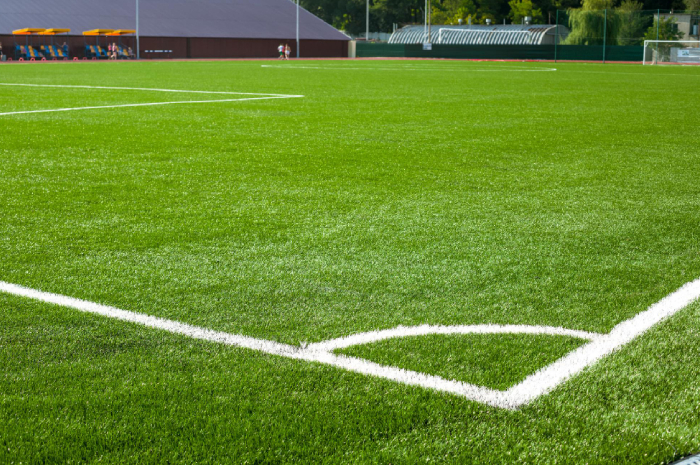 rumput lapangan sepak bola