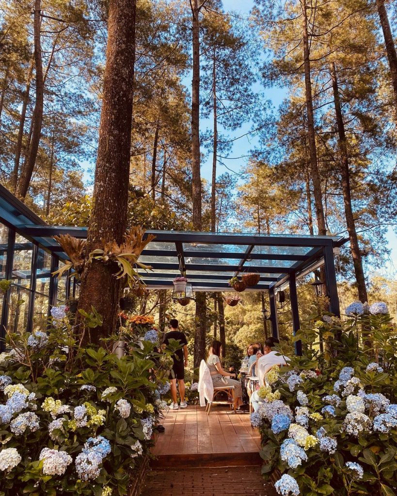 Orchid Forest Cikole. Foto: Instagram/@orchidforestcikole