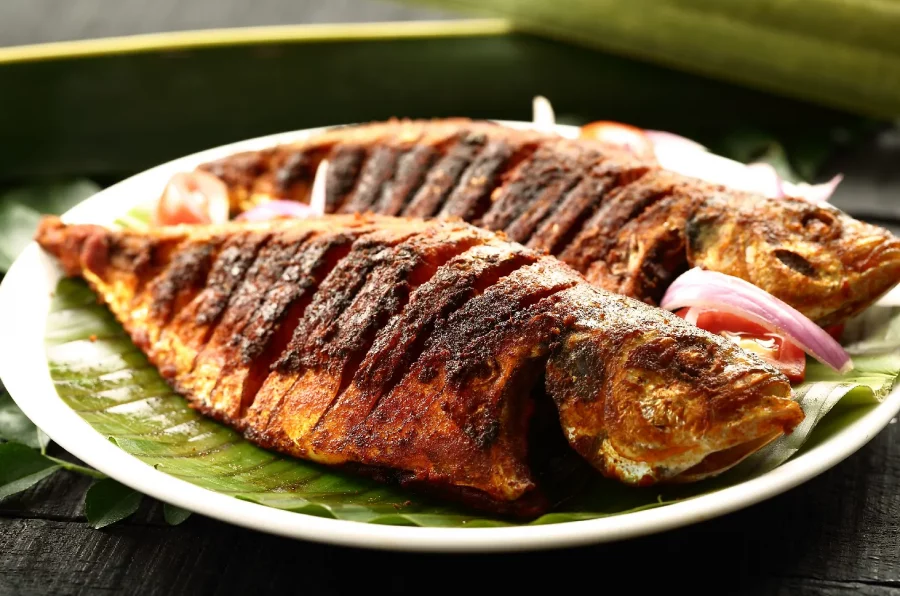 Ikan Gabus