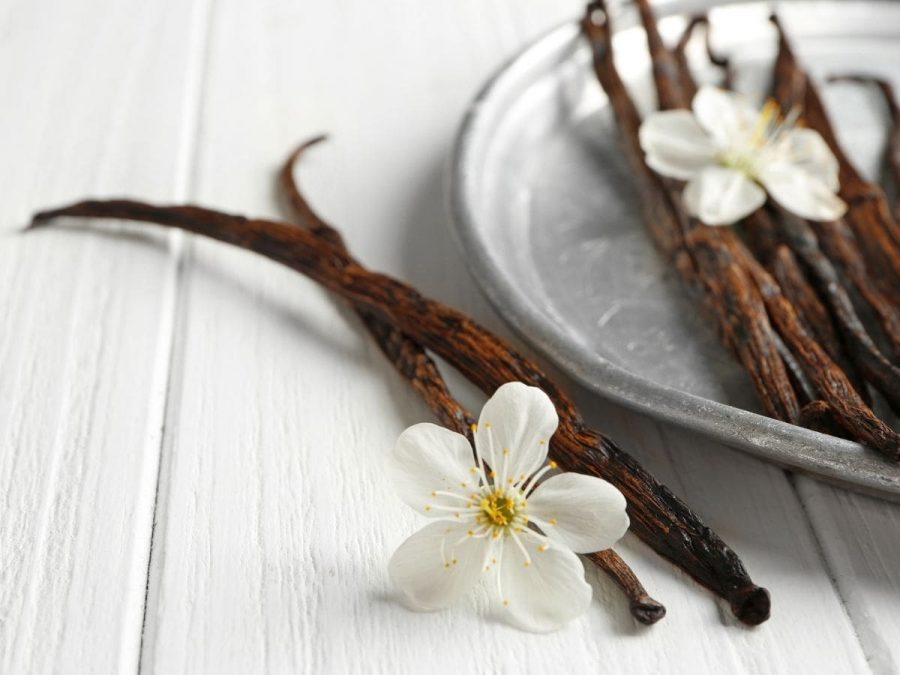 Fakta Menarik Vanilla