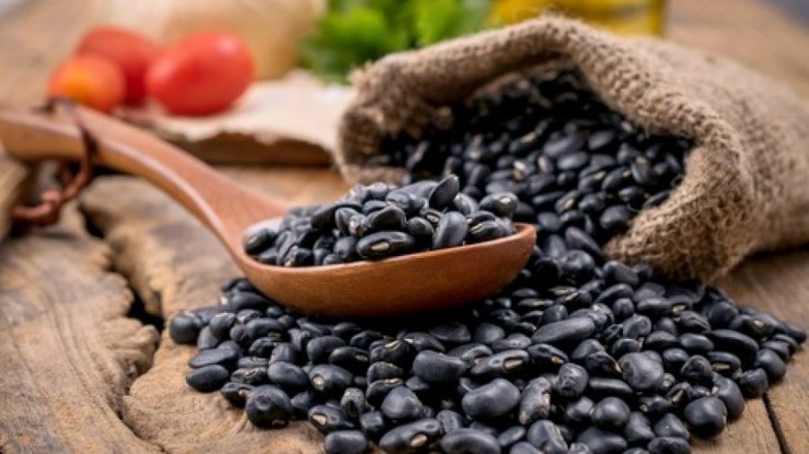 Kacang Hitam