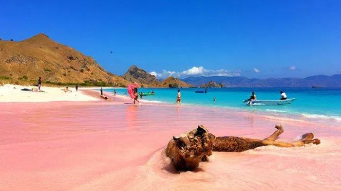 Pink Beach