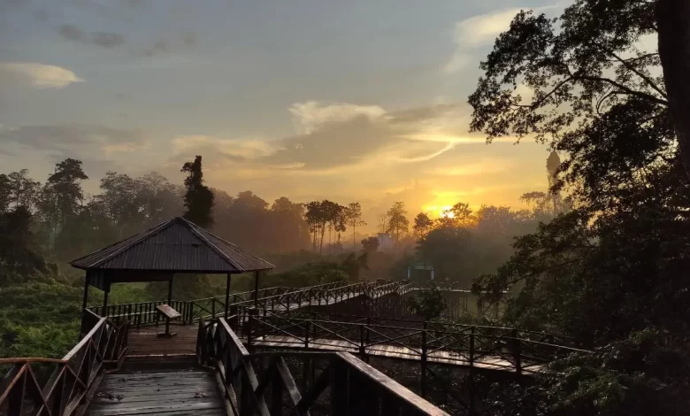 Taman Nasional Kutai