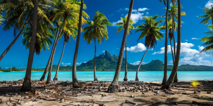 Wisata di Vanuatu