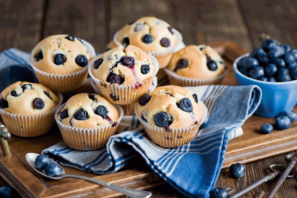 Muffin Blueberry