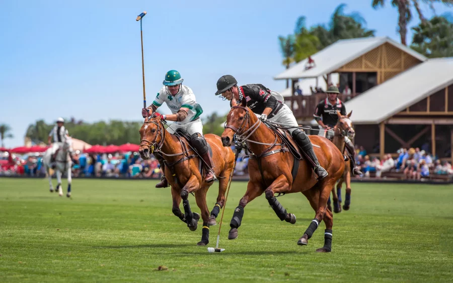 Olahraga Polo