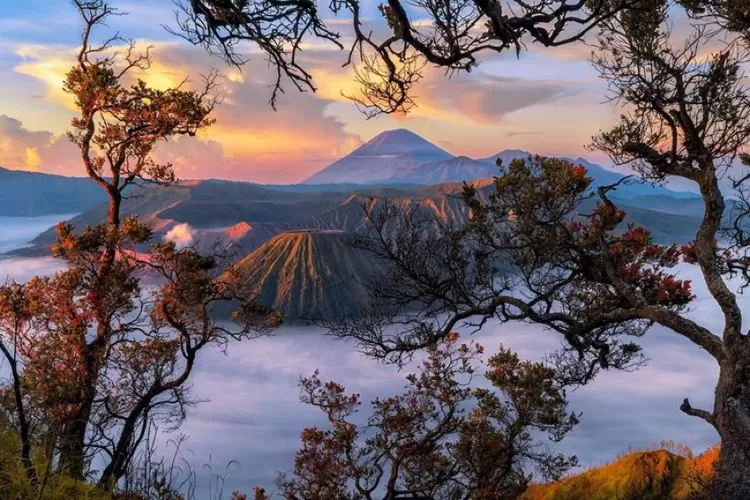 Taman Nasional Bromo