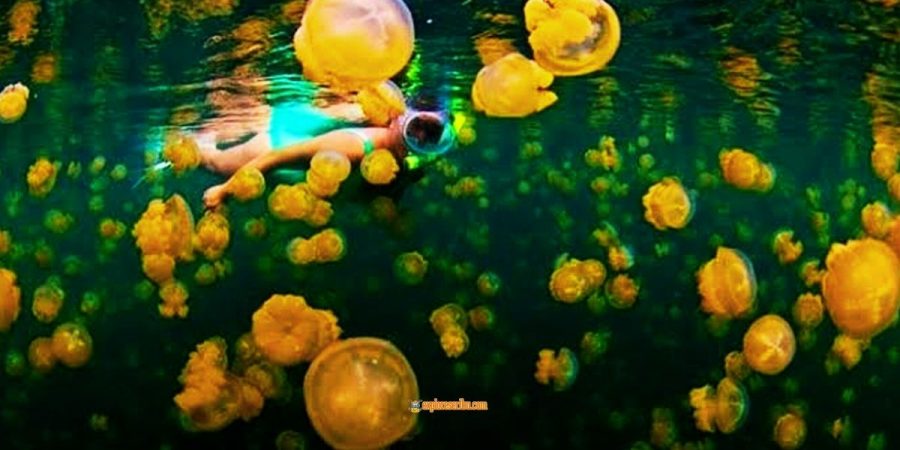 Wisata Hidden Gems