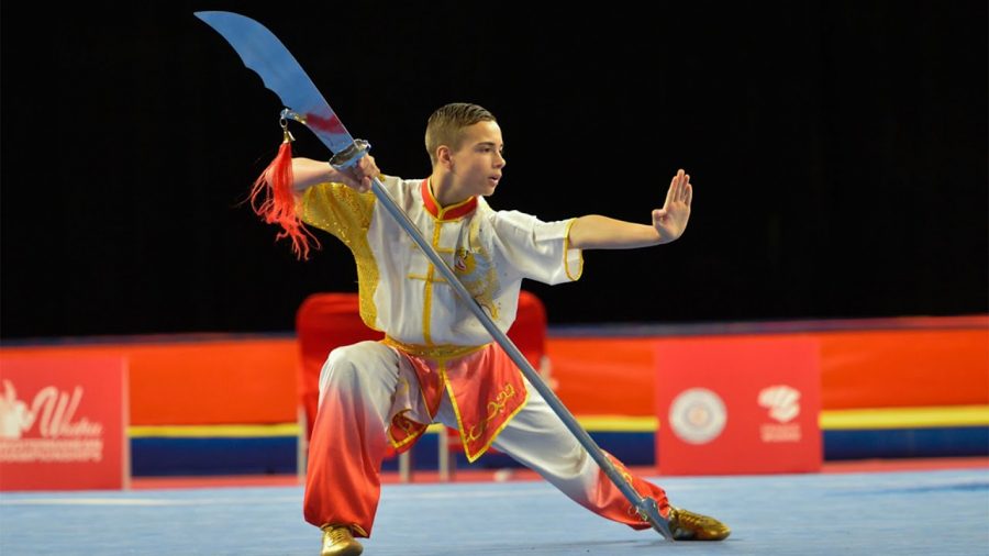 Wushu